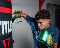 WBC By TITLE Boxing Green Belt Bag Gloves -Boxing Shop WGBBGGNGD 1