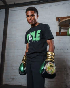 WBC By TITLE Boxing Green Belt Sparring Gloves -Boxing Shop WGBSGBKGD 2