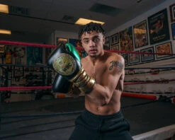 WBC By TITLE Boxing Green Belt Sparring Gloves -Boxing Shop WGBSGBKGN 1