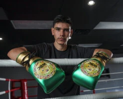 WBC By TITLE Boxing Green Belt Sparring Gloves -Boxing Shop WGBSGGDGNBK 2