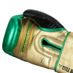 WBC By TITLE Boxing Green Belt Training Gloves 1.0 -Boxing Shop WGBTG GN GD BK 5