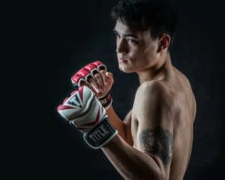 TITLE MMA Command Pro Fight Gloves 23 TITLE MMA Command Pro Fight Gloves -Boxing Shop XMCPFG RD