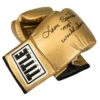 TITLE Boxing Autograph Gloves -Boxing Shop ag2 gd 1 1