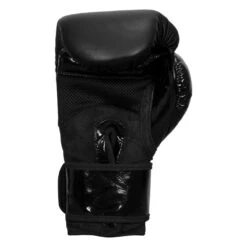 TITLE Black Blitz Sparring Gloves -Boxing Shop bkbbg 0004