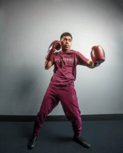 TITLE Boxing Blood Red Leather Bag Gloves -Boxing Shop brbg rd 2