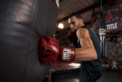 TITLE Boxing Blood Red Leather Sparring Gloves -Boxing Shop brsg 2