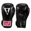 TITLE Classic Black Max Boxing Gloves -Boxing Shop cbmbg2 01