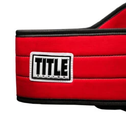 TITLE Boxing World Boxing Champion Title Belt 18 TITLE Boxing World Boxing Champion Title Belt -Boxing Shop cltb20 rd 3