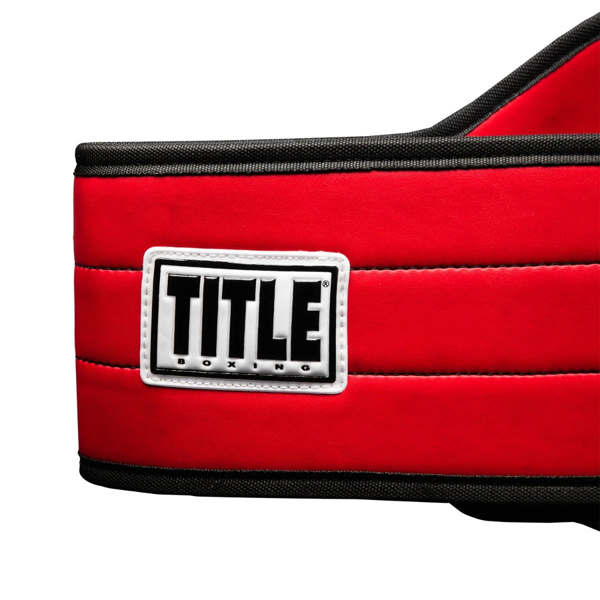 TITLE Boxing World Boxing Champion Title Belt 10 TITLE Boxing World Boxing Champion Title Belt - Image 8
