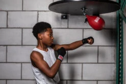 TITLE Classic Speed Bag -Boxing Shop cspb and cahw 4