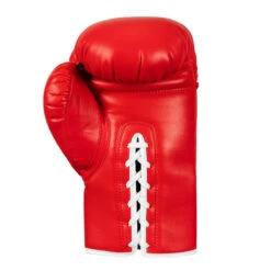 TITLE Boxing Legacy Autograph Gloves 2.0 -Boxing Shop eabg2 rd 3 2