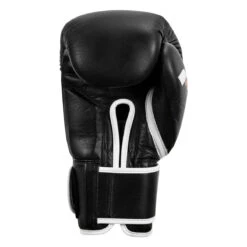 Fighting Fury Professional Training Gloves -Boxing Shop fsftge bk 04
