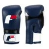 Fighting Force Training Gloves 2 Fighting Force Training Gloves -Boxing Shop ftgftg bl wh bk 1 1