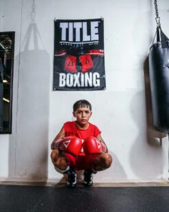 TITLE Boxing Pro Fight Banner -Boxing Shop gb9 1 1