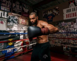 TITLE Boxing Honorary Sparring Gloves 25 TITLE Boxing Honorary Sparring Gloves -Boxing Shop gossg bk bnl 3 1 1