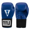 TITLE Boxing Masters USA Boxing Competition Gloves - Elastic 1 TITLE Boxing Masters USA Boxing Competition Gloves - Elastic -Boxing Shop macges bl 01