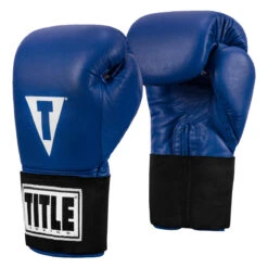 TITLE Boxing Masters USA Boxing Competition Gloves - Elastic -Boxing Shop macges bl 02