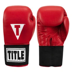 TITLE Boxing Masters USA Boxing Competition Gloves - Elastic -Boxing Shop macges rd 01