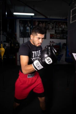 Pro Mex Professional Bag Gloves V3.0 -Boxing Shop pmhbg3 bk 2