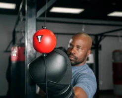 TITLE Boxing Quick Puncher 2.0 -Boxing Shop qtbp rd 4