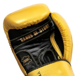 TITLE Boxing Roberto Duran Leather Training Gloves -Boxing Shop rdtg gd bk 05