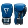 TITLE Boxing Royalty Leather Bag Gloves -Boxing Shop rybg ry nv 01