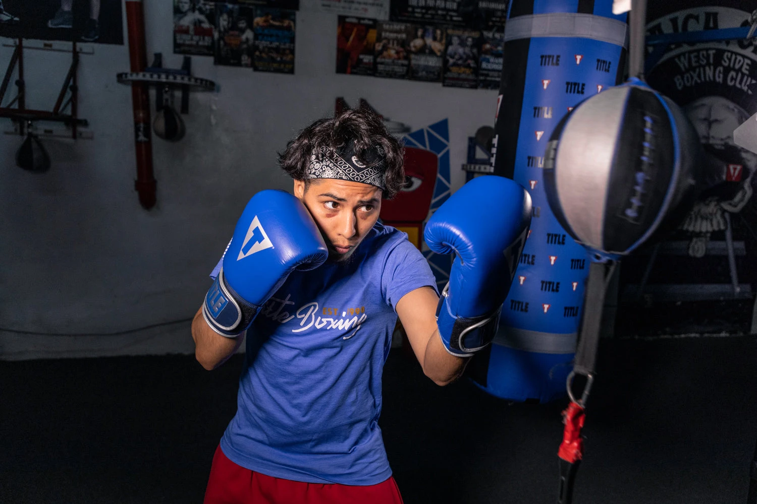 TITLE Boxing Royalty Leather Bag Gloves 4 TITLE Boxing Royalty Leather Bag Gloves - Image 2