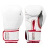 TITLE Boxing Gel Special Edition Bag Gloves -Boxing Shop setgbg sv wh rd 01