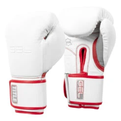 TITLE Boxing Gel Special Edition Bag Gloves -Boxing Shop setgbg sv wh rd 02