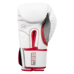 TITLE Boxing Gel Special Edition Bag Gloves -Boxing Shop setgbg sv wh rd 04