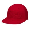 TITLE Boxing Fitted Tonal Cap -Boxing Shop tcap60 rd 01 1