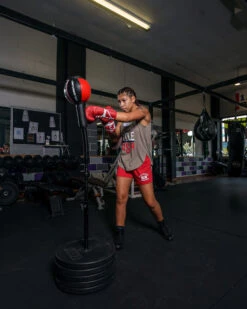 TITLE Boxing Deluxe King Cobra Reflex Bag With Anchor Bags -Boxing Shop tfsrb2