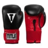 TITLE Boxing Infused Foam Youth Training/Sparring Gloves -Boxing Shop tifysg rd bk 01