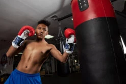 TITLE Boxing USA Leather Bag Gloves -Boxing Shop usabg replace the current