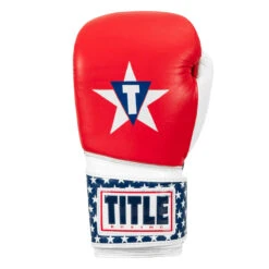TITLE Boxing USA Leather Bag Gloves -Boxing Shop usabg 03