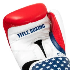 TITLE Boxing USA Leather Bag Gloves -Boxing Shop usabg 05