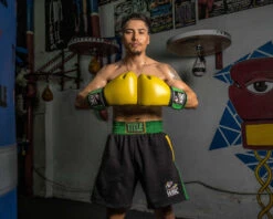 WBC By TITLE Boxing Jose Sulaiman Training Gloves -Boxing Shop wbcjsg