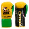 WBC By TITLE Boxing Jose Sulaiman Leather Gloves -Boxing Shop wbcjsg gd bk 01