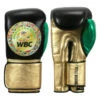 WBC By TITLE Boxing Green Belt Bag Gloves -Boxing Shop wgbbg bk gd gn 1 2