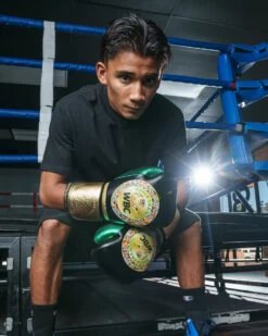 WBC By TITLE Boxing Green Belt Training Gloves 1.0 -Boxing Shop wgbtg bk 2 1