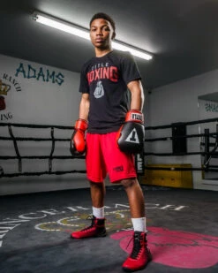 TITLE Boxing Pro Style Heavy Bag Gloves -Boxing Shop xtsg bk rd 2