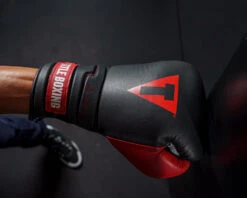TITLE Boxing Z-FLY Bag Gloves 24 TITLE Boxing Z-FLY Bag Gloves -Boxing Shop zflybg bk rd 6 1
